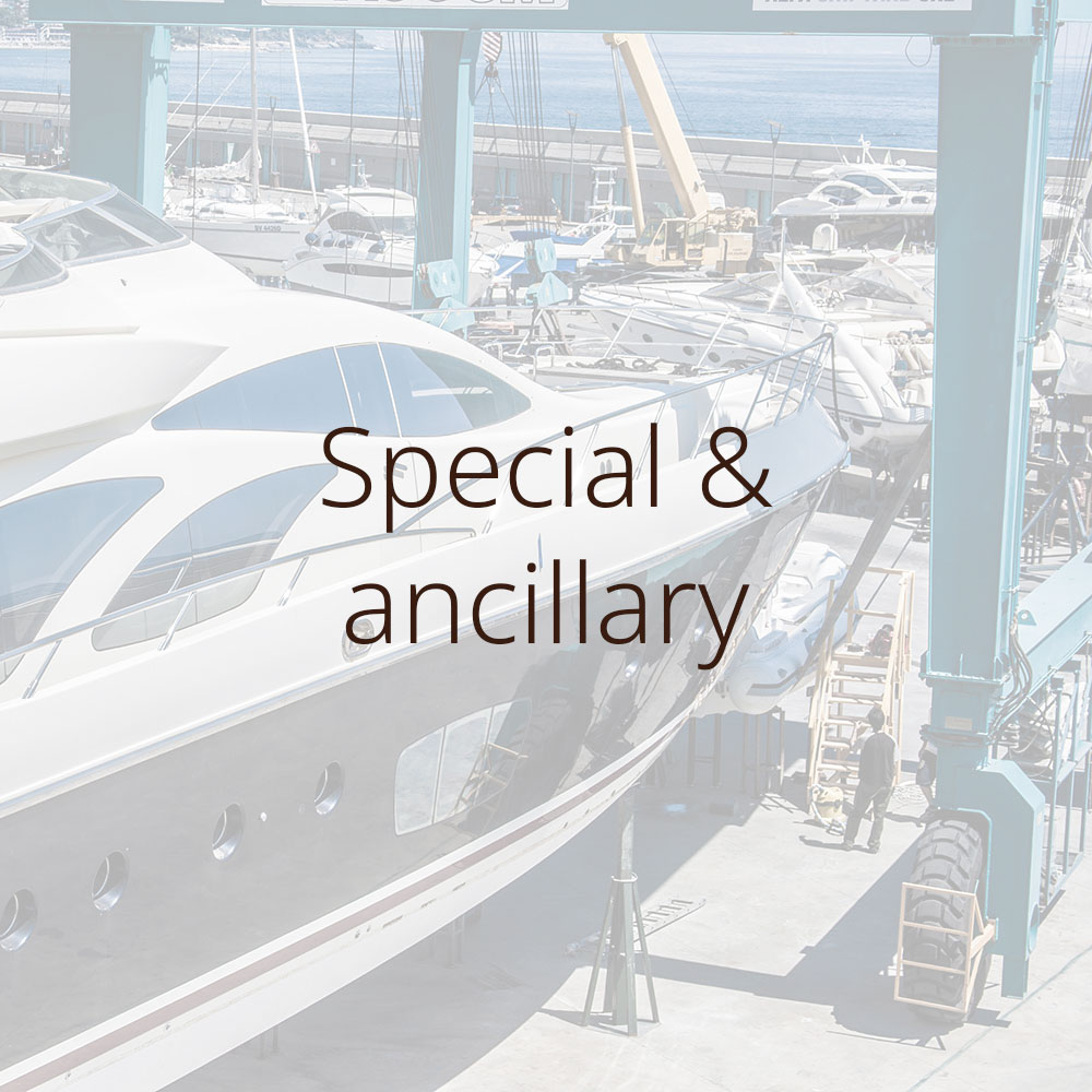 special & ancillary products